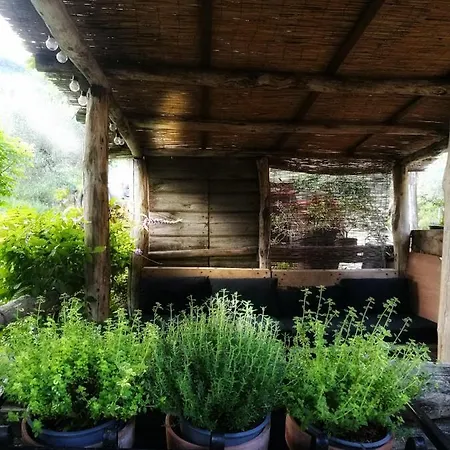 Tananei Bed & Breakfast *