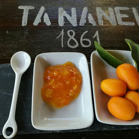 Tananei *