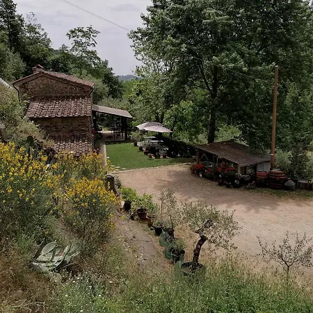 Tananei * Marliana