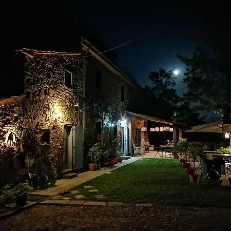Tananei Bed & Breakfast