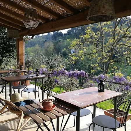 Tananei 住宿加早餐酒店 Marliana