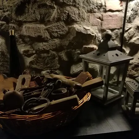 住宿加早餐酒店 Tananei