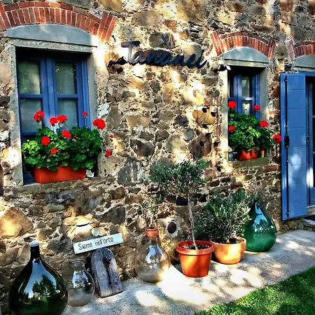 Tananei Bed & Breakfast Marliana